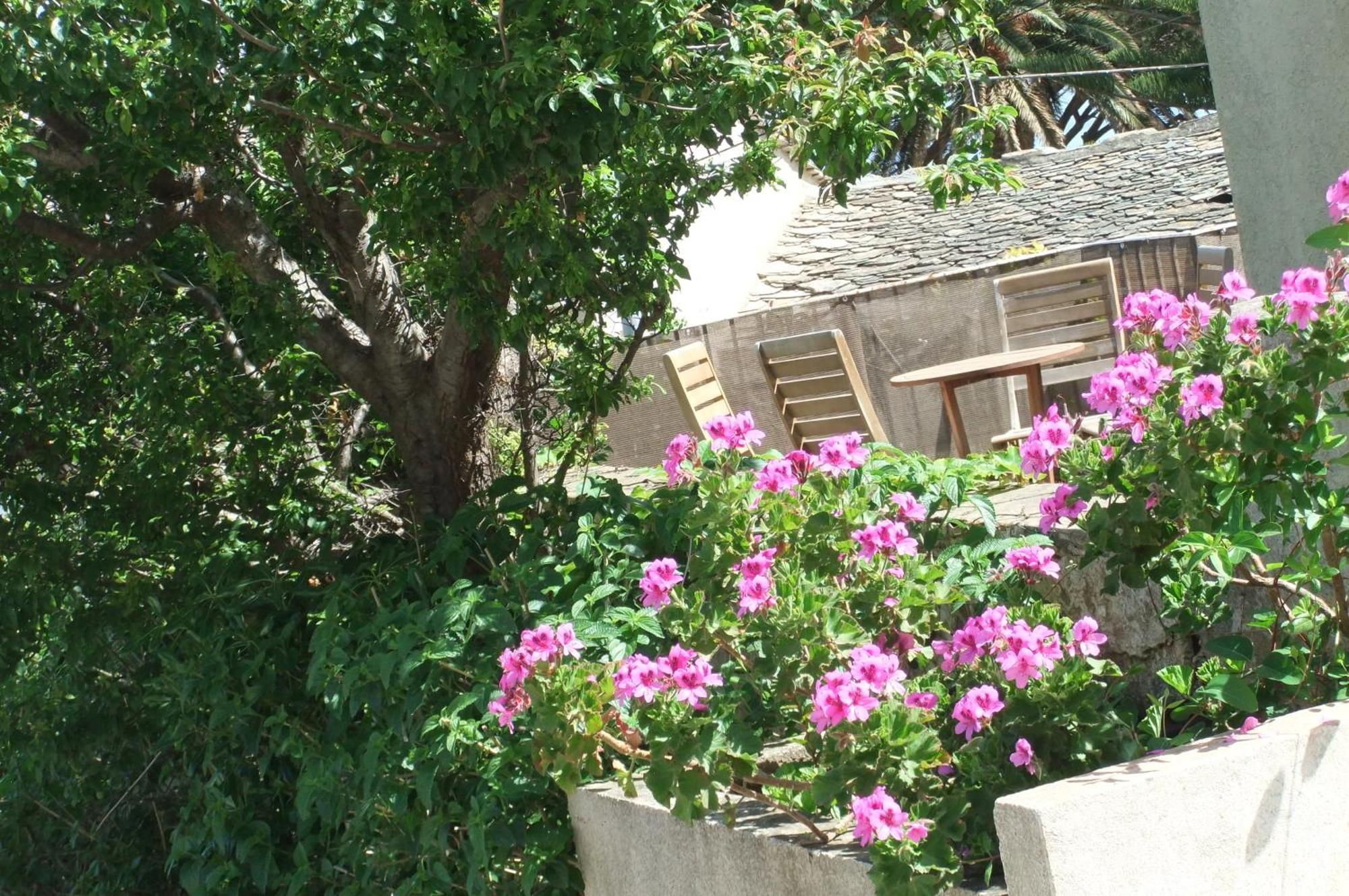 Hotel U Pozzu Sisco Exterior photo